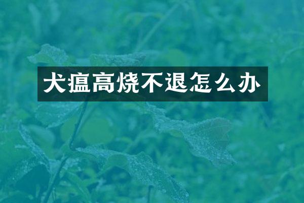 犬瘟高烧不退怎么办