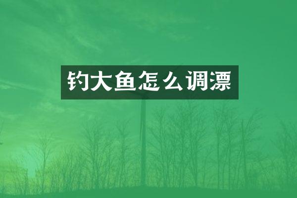 钓大鱼怎么调漂