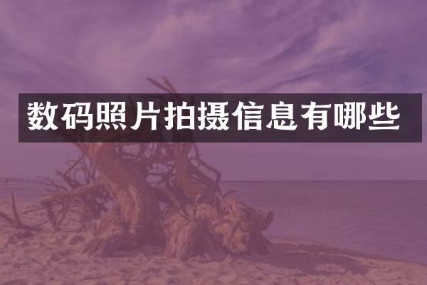 数码照片拍摄信息有哪些