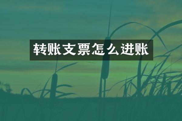 转账支票怎么进账