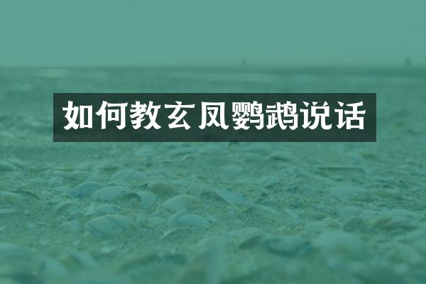 如何教玄凤鹦鹉说话
