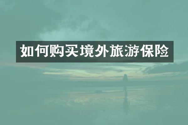 如何购买境外旅游保险