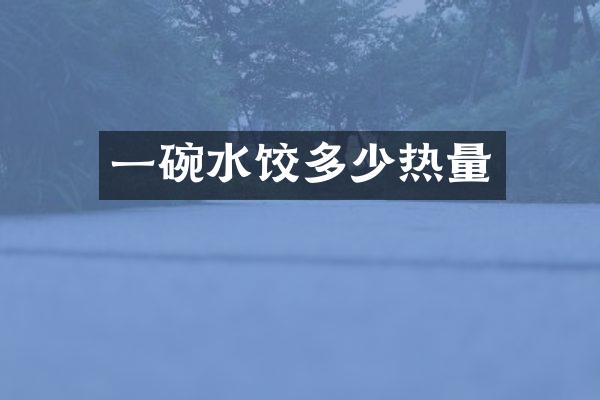 一碗水饺多少热量