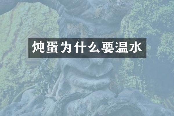 炖蛋为什么要温水