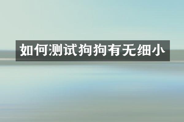 如何测试狗狗有无细小