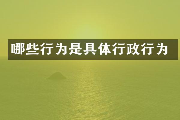 哪些行为是具体行政行为