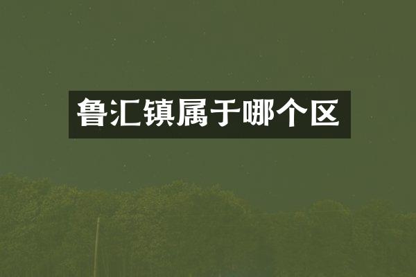 鲁汇镇属于哪个区