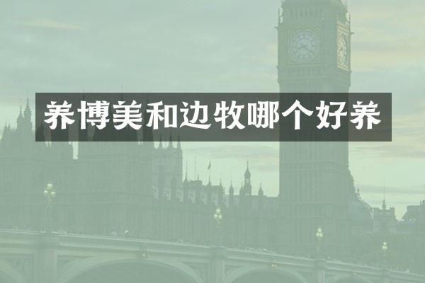 养博美和边牧哪个好养