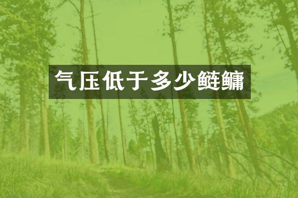 气压低于多少鲢鳙