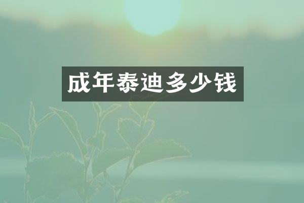 成年泰迪多少钱