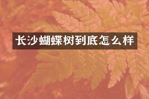 长沙蝴蝶树到底怎么样