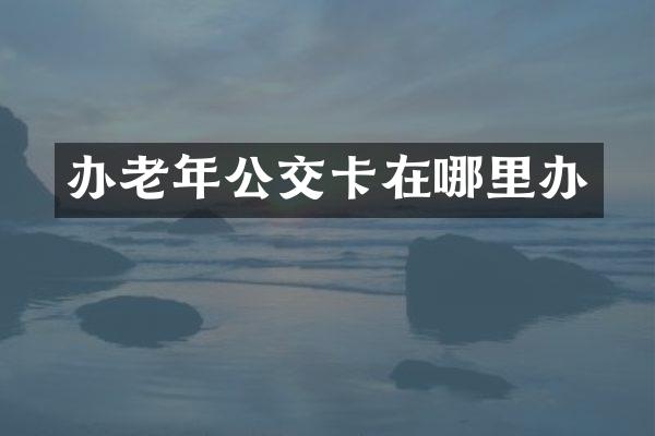办老年公交卡在哪里办
