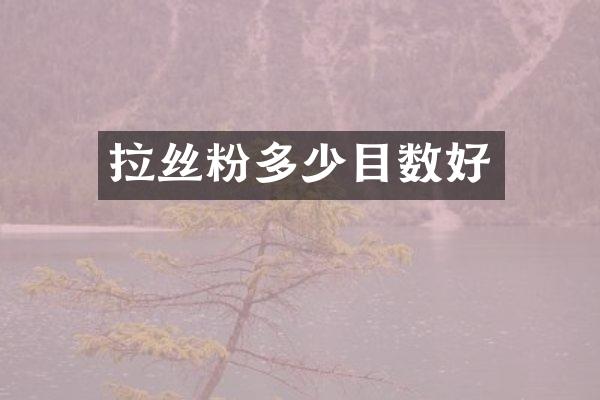 拉丝粉多少目数好