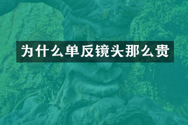 为什么单反镜头那么贵