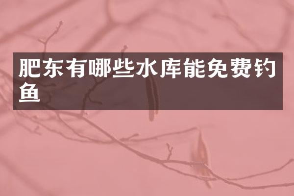 肥东有哪些水库能免费钓鱼