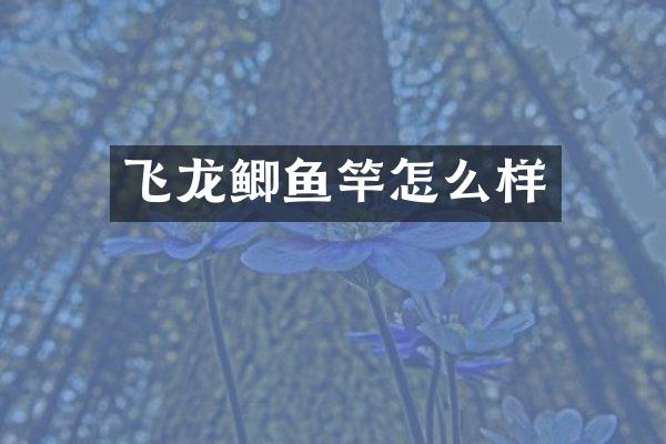 飞龙鲫鱼竿怎么样