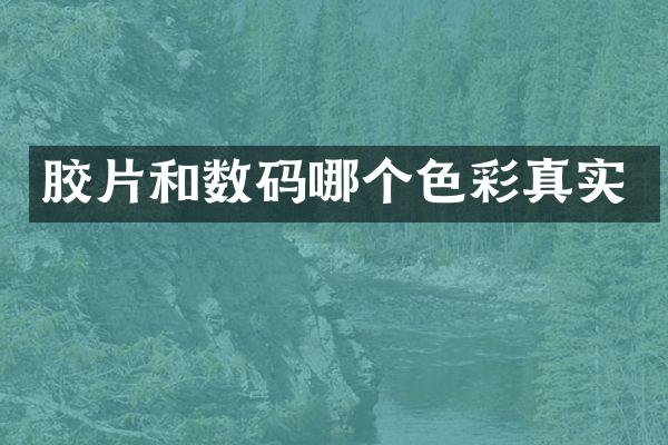 胶片和数码哪个色彩真实