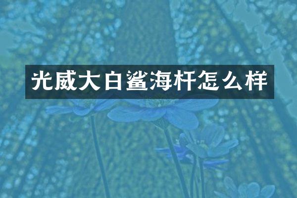 光威大白鲨海杆怎么样