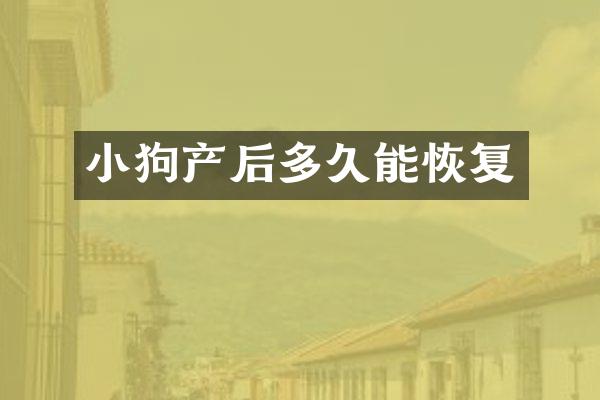 小狗产后多久能恢复