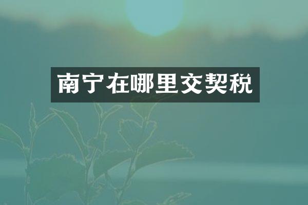 南宁在哪里交契税
