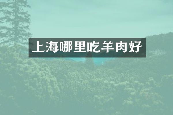 上海哪里吃羊肉好