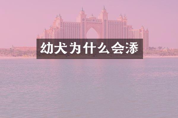 幼犬为什么会添