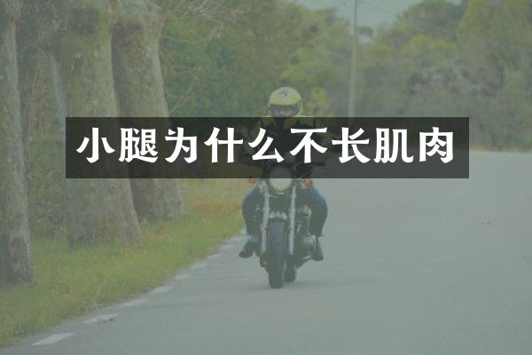 小腿为什么不长肌肉