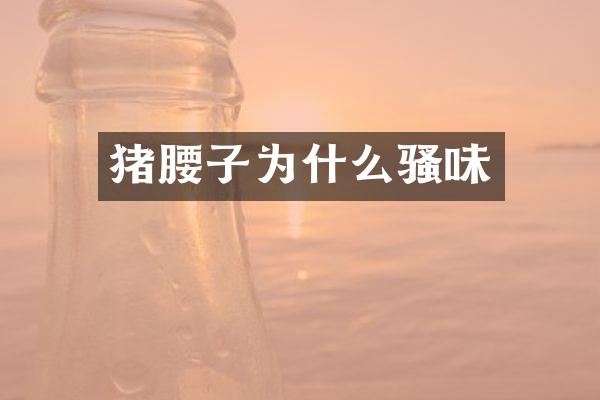 猪腰子为什么骚味