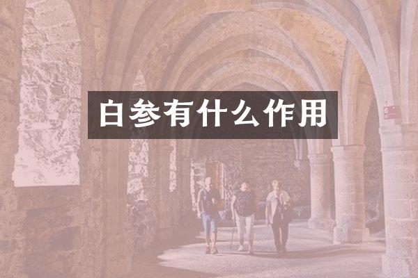 白参有什么作用