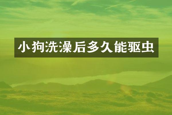 小狗洗澡后多久能驱虫