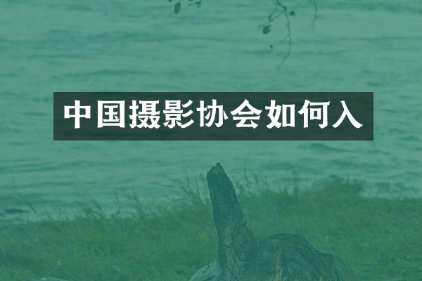 中国摄影协会如何入