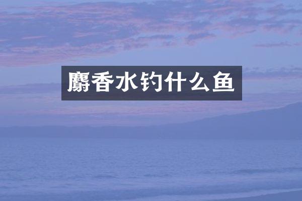 麝香水钓什么鱼