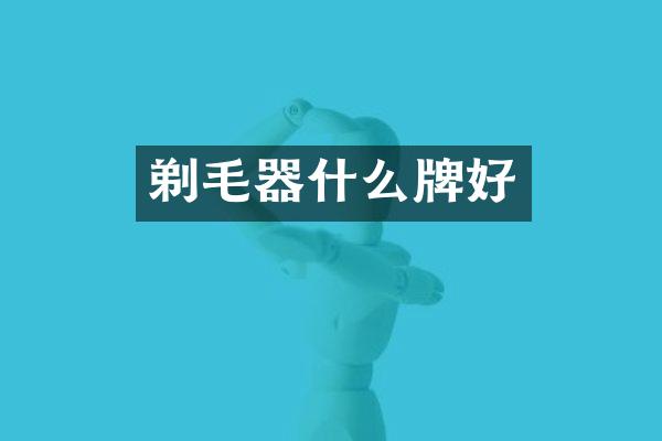 剃毛器什么牌好