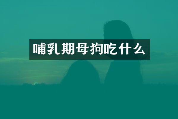 哺乳期母狗吃什么