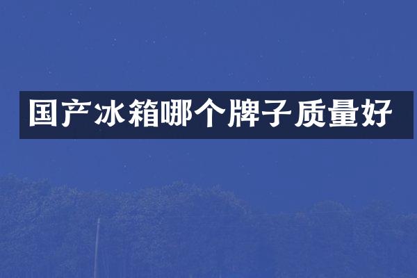 国产冰箱哪个牌子质量好