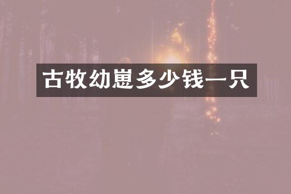 古牧幼崽多少钱一只