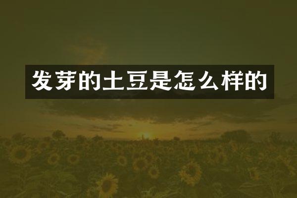 发芽的土豆是怎么样的