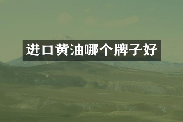 进口黄油哪个牌子好