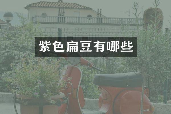 紫色扁豆有哪些