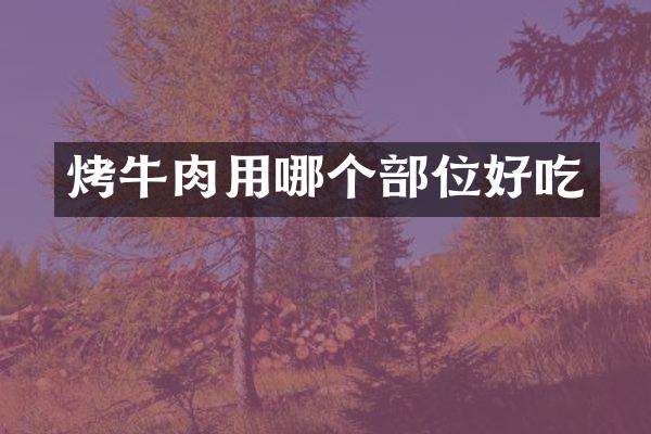 烤牛肉用哪个部位好吃