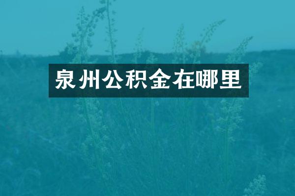 泉州公积金在哪里