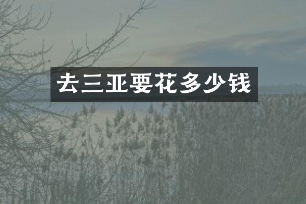 去三亚要花多少钱