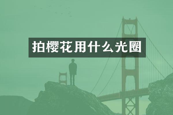 拍樱花用什么光圈