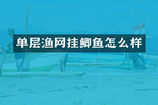 单层渔网挂鲫鱼怎么样