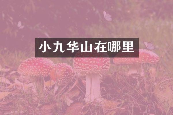 小九华山在哪里