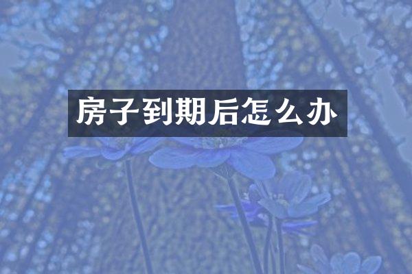 房子到期后怎么办