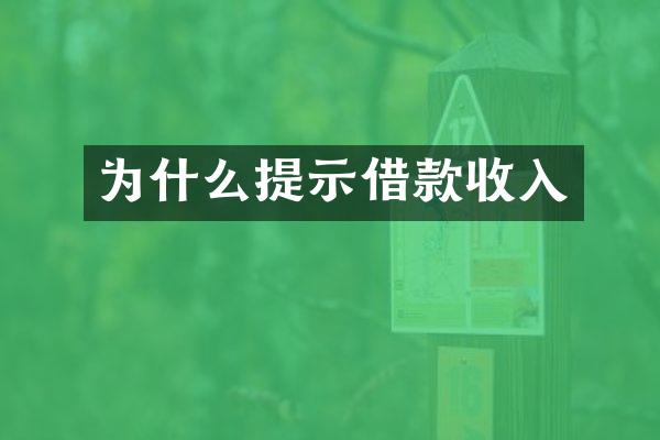 为什么提示借款收入