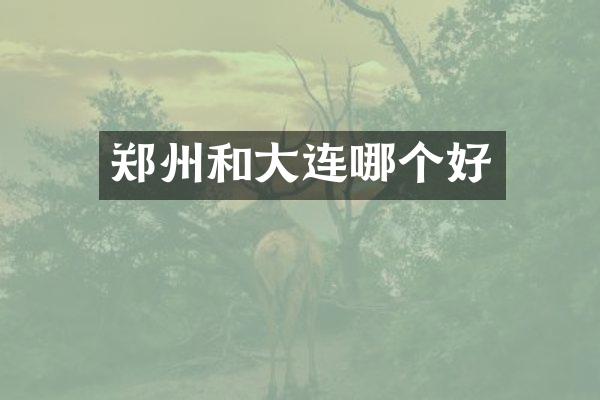 郑州和大连哪个好