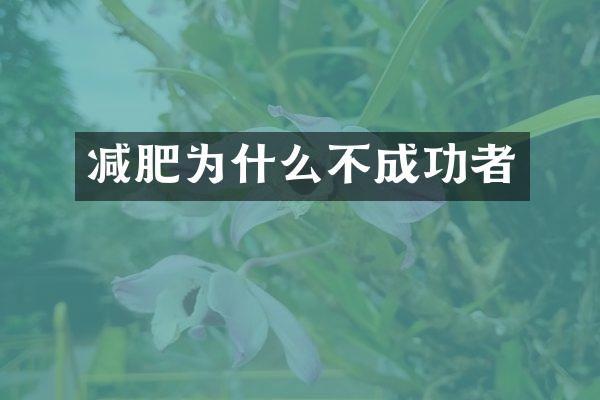 减肥为什么不成功者