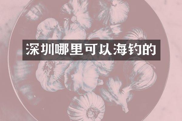 深圳哪里可以海钓的